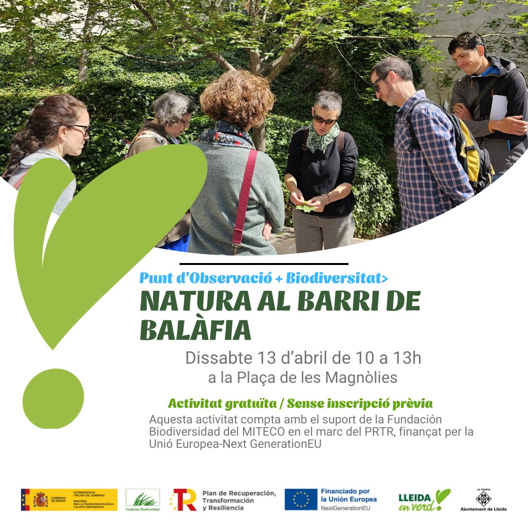 😍Als jardins, places, als carrers...Fins i tot a les façanes dels edificis La Natura està present a #Lleida en molts racons. En aquesta activitat us convidem a descobrir labiodiversitat de Balàfia 🌱🦋🦎🐞🌳
#mesbiodiversitat #ProyectosPRTR #NextGenerationEU #ecoactivitatsll