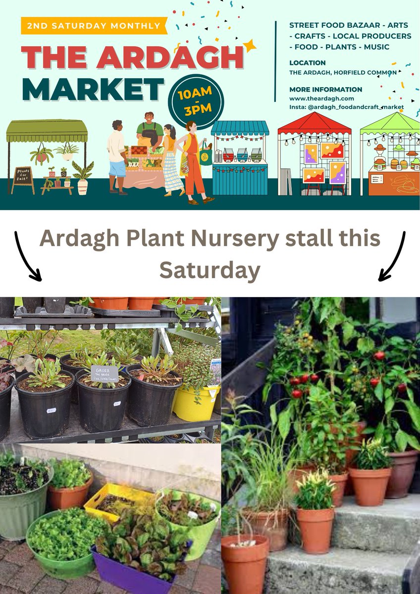 The Ardagh plant nursery has some fantastic products at this Saturday's market: fuschia,herbs,houseplants, osteospermum,pelargonium,gaura&salvias. Strawberries,courgettes,peppers,pumpkins,beans& tomatoes too! Perfect for pots on a step or window #plantlove #communityplantnursery