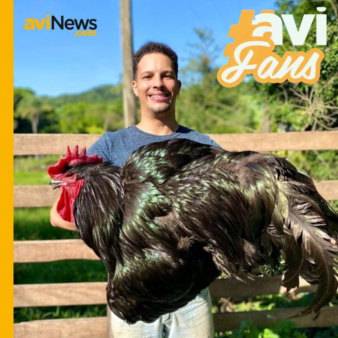 aviNewsESP's tweet photo. 🤩Muchas gracias a todos los #aviFans que nos enviáis fotos y videos cada día, compartís con todos nosotros vuestra pasión por la #avicultura. 🙌🏼
🥰Nos encanta poder compartir estas fotografías, videos y que os animéis a enviárnoslas. https://t.co/saoJJozyZ8