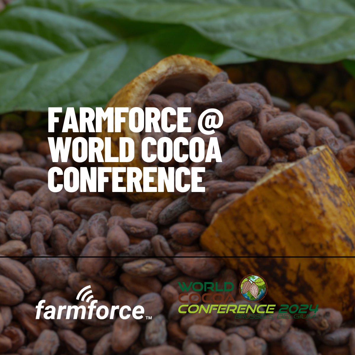 We're now on our way to Brussels for the 2024 #WorldCocoaConference! We hope to meet you there! @WorldCocoaConf