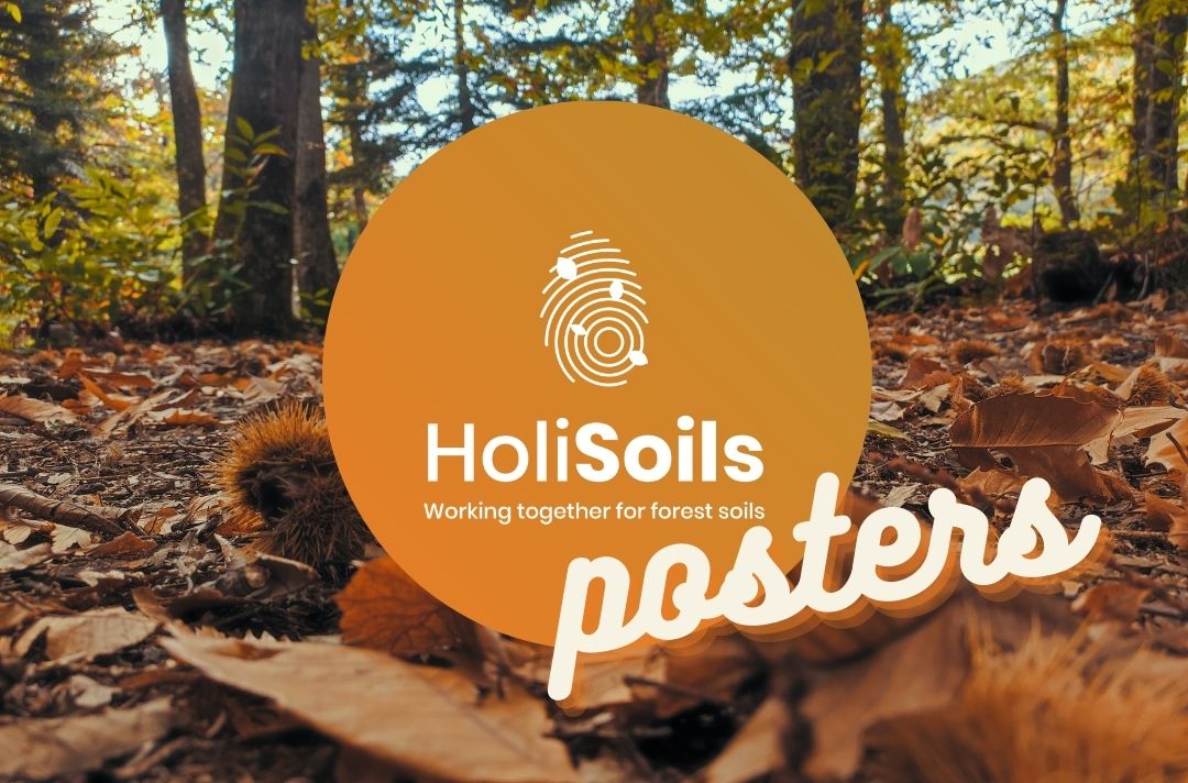 The #HoliSoils scientific & dissemination posters collect scientific advances on #ForestSoils & their key role in #ClimateChange mitigation 🌱🔬📑 Have a look at these insightful materials showcasing the work of many distinguished HoliSoils scientists! ➡️ holisoils.eu/resources/post…