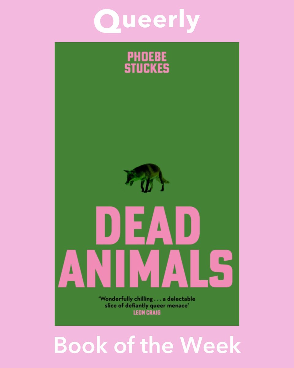 Book of the Week: ‘Dead Animals’ by Phoebe Stuckes ✨ Themes of trauma, queer romance, and justice converge in a haunting narrative in ‘Dead Animals’. Phoebe Stuckes powerful debut novel is a complex interplay of power and privilege. #BookOfTheWeek #DeadAnimals