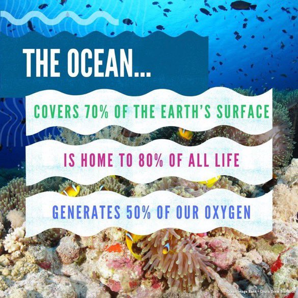 Did you know that
the ocean covers 70% of the earth’s surface and
is home to 80% of all life🦈 and generates 50% of our oxygen? 💦🌍

It's time to return the favour! Let's protect our oceans and the beautiful life below water.❤️💚💧

#Goal14
#ForOurPlanet 🌍
#SaveTheOceans🌊