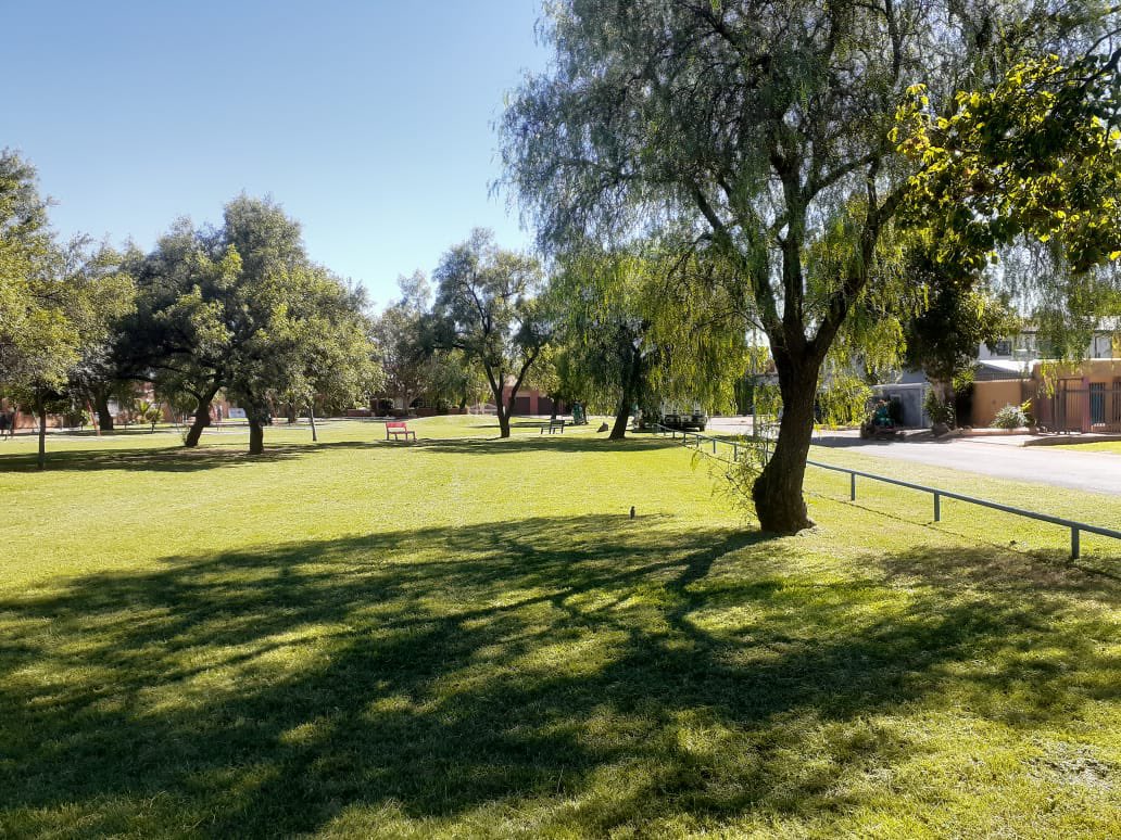 JoburgParksZoo's tweet photo. Horticultural maintenance is in progress in Region G:
📍Lily Oak Park 
📍Poppy Park 

#jcpzatwork #JCPZServices #serviceawareness https://t.co/6uEJf5JYCf