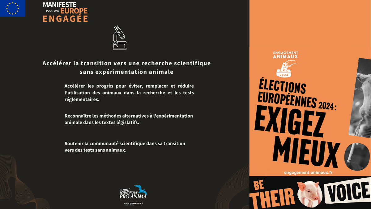 Engagez vous en faveur des animaux ! 🐶🐭🐵🐖 Dans le cadre des élections EU, Pro Anima soutient la campagne “Vote for Animals 2024”, et son Manifeste élaboré par @Act4AnimalsEU et relayé en France par @CAPpolitique. ➡️engagement-animaux.fr/manisfeste-eur… Soyez leur voix !#VoteforAnimals