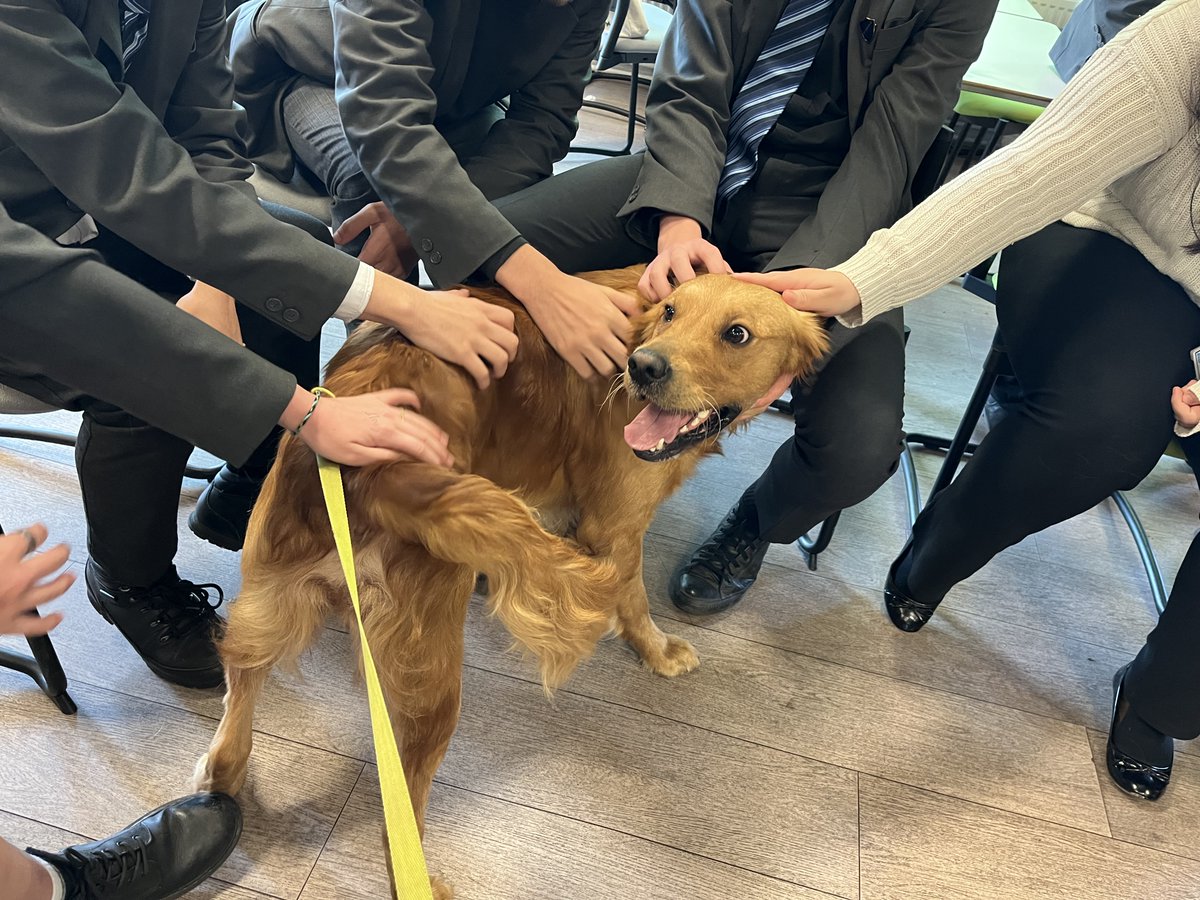 The National Lottery tweet media