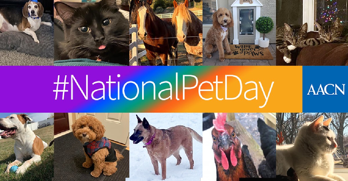 Happy #NationalPetDay! Who is the special animal in your life? 🐈‍🐕🐇🐎🐓🦜🐢🐍 Share a picture in the comments below!