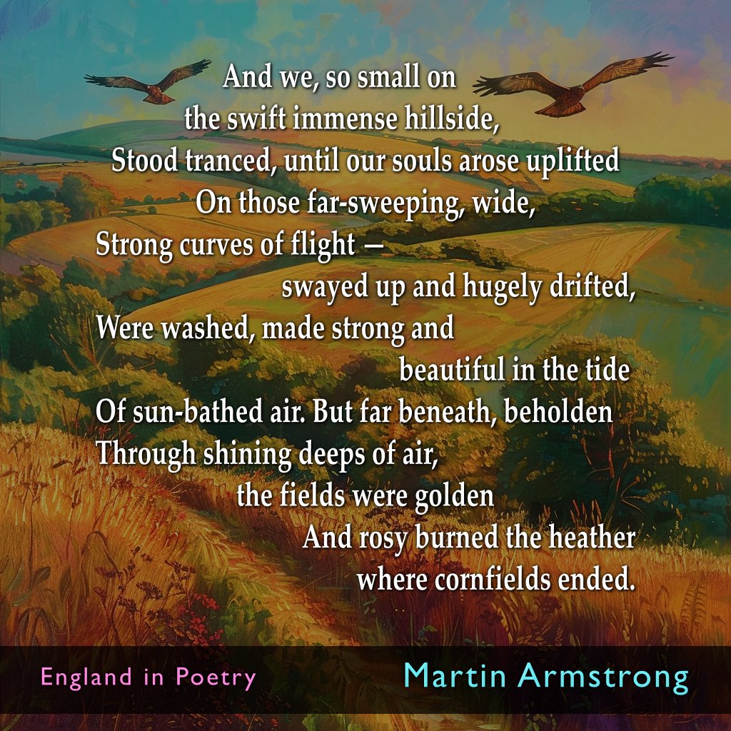 In ‘The Buzzards’, Martin Armstrong, an English poet and novelist of the early 20th century, admires the majestic flight and timeless presence of these graceful creatures. #England #poetry #MartinArmstrong