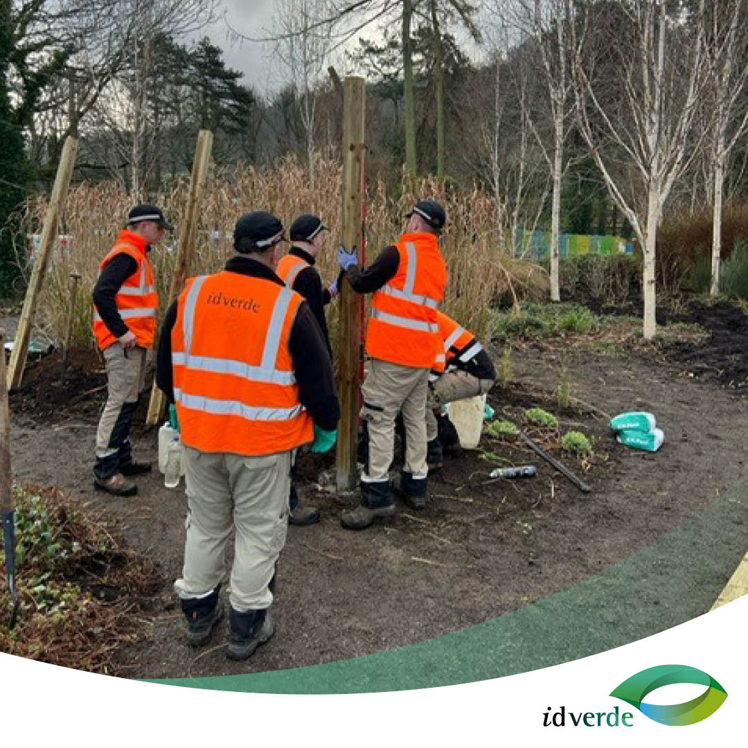 As part of the idverde #Apprenticeship Programme, two of our apprentices spent a day with the Creation Team on a planting day. They planted and constructed the pergolas for our client, Hawthorne Manor in Glynn. A fantastic result and well done to all involved!