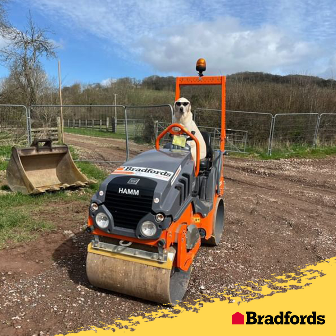 Dodger is on a roll this National Pet Day! 🐶 Get your projects sorted today with the help of our Tool and Plant Hire: shorturl.at/fzPS9 Let's get those jobs done, just like Dodger! 💪 #BradfordsBuildingSupplies #NationalPetDay #ToolHire