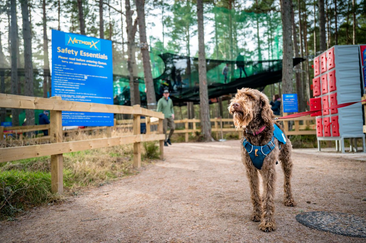 🐾🌲 It's #NationalPetDay! At the park, we welcome well-behaved dogs to join in the fun & explore our beautiful surroundings. Bring your pet along for an unforgettable adventure in nature! 🐶🌳 If you are curious about our dog-friendly policy visit 👉 bit.ly/3PvzMFo