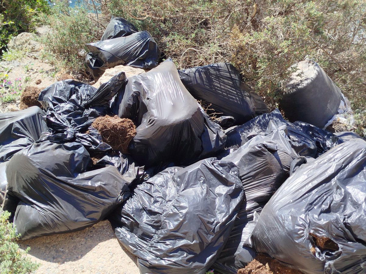 Heroesdelmar's tweet photo. Toda esta basura y más se encuentra en el lateral de la entrada de la playa las Olas - Almería Capital? Quien tiene la obligación de limpiarlo?

@aytoalm @AlmeriaSostenib @JMROMANGARCIA @AAMM_And @AndaluciaJunta @subdegobalmeria https://t.co/eVBz0nRKCD