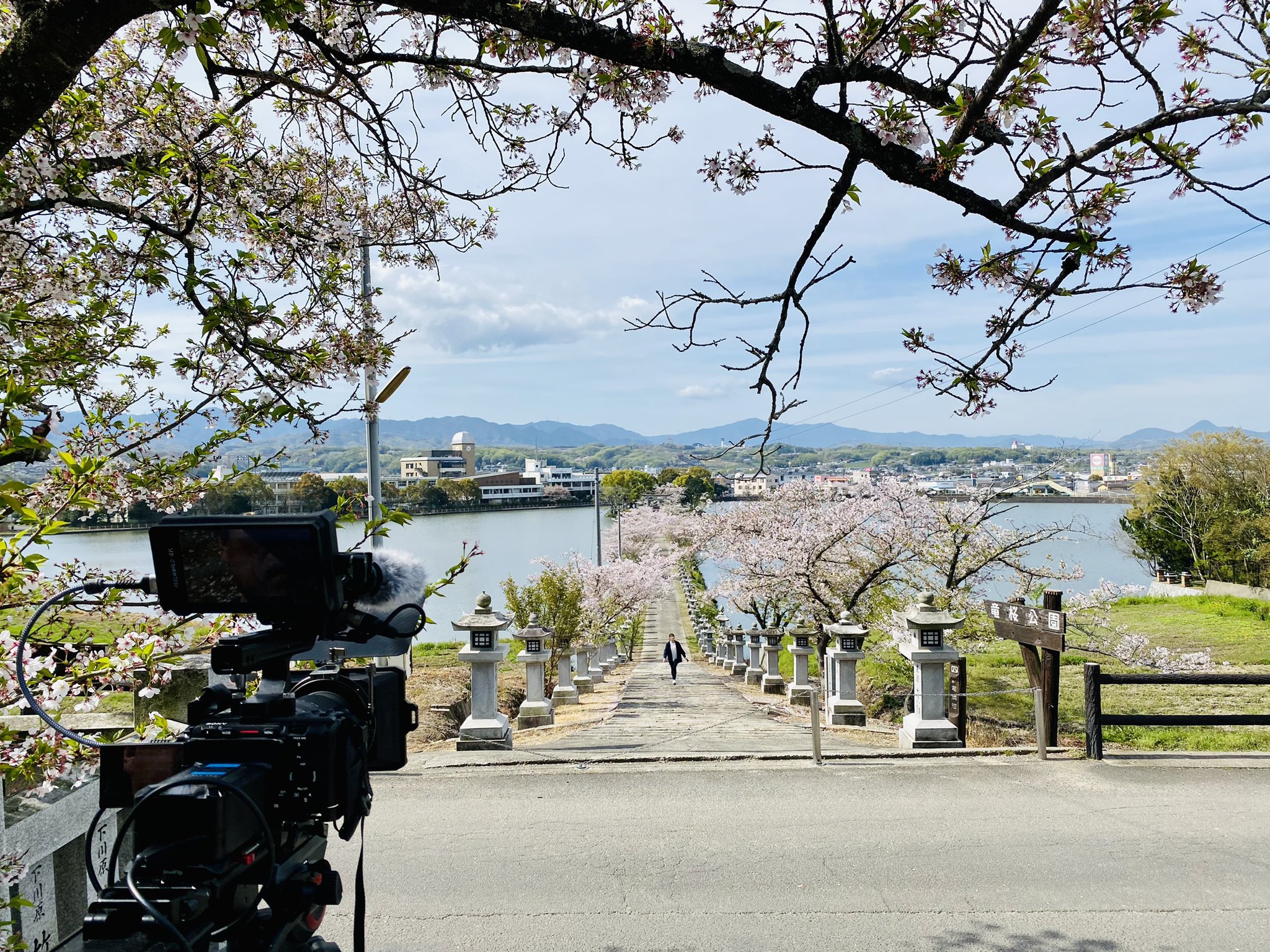 限界価格】欅衝立 松に鯉