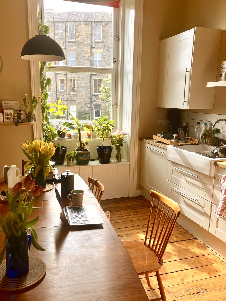 There really are few things better in life than fresh coffee, happy plants and the sun coming through the window.