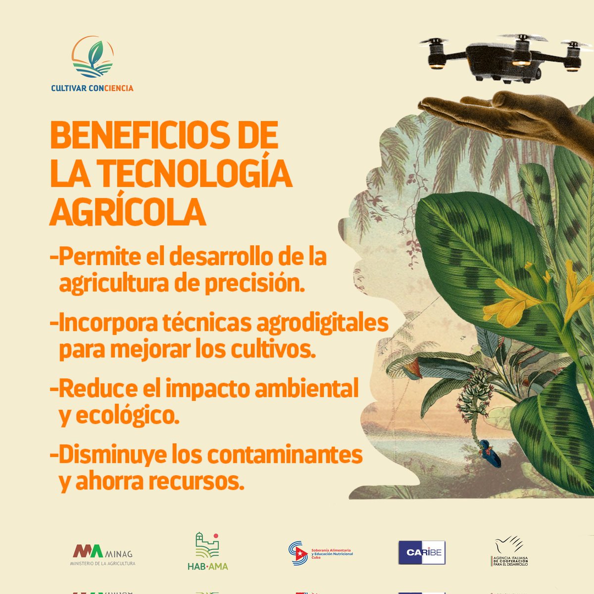 Las tecnologías agrícolas favorecen el control de los cultivos, detectan la falta de fertilizantes o agua, y permiten conocer las propiedades del suelo.
🔸¿Qué otros beneficios tienen? Le comentamos. 🌱⚙️🐄
#Cuba 🇨🇺 #SoberaníaAlimentaria #AgroalimPorCuba 
#CultivarConciencia