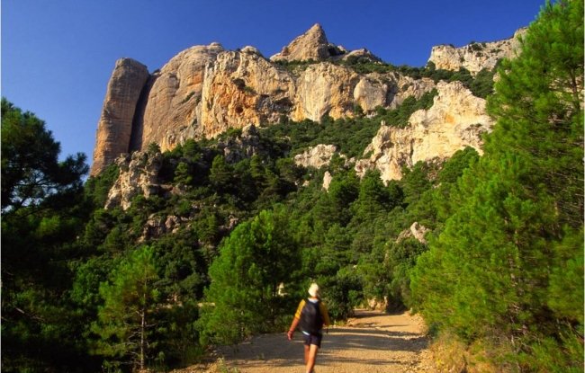 🥾 😍 📸 Us agrada el #senderisme? Coneixeu l’oferta de rutes i camins de la #TerraAlta! És espectacular, variada i amb propostes per a tots els nivells! ℹ️ Més informació 👉🏼 tuit.cat/uXabd #TerresdelEbre