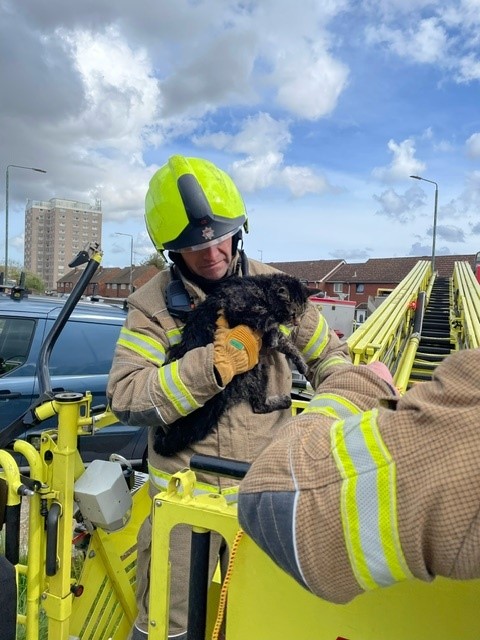This #NationalPetDay, we're celebrating the hard work of firefighters who rescue beloved family pets across the city. Here's Firefighter Jon Taylor, who helped rescue Oreo the cat from a chimney in #Erith, reuniting him with his owner orlo.uk/6w8lZ