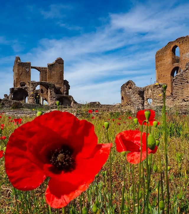 Nel Parco Acheologico dell'Appia Antica, troviamo la più bella villa del suburbio romano, la Villa dei Quintili. L'imperatore Commodo ne fu talmente colpito da confiscare la residenza. 👉 turismoroma.it/it/luoghi/vill… 📸 IG carolaferrante25 @parcoappia @archeoappia #VisitRome