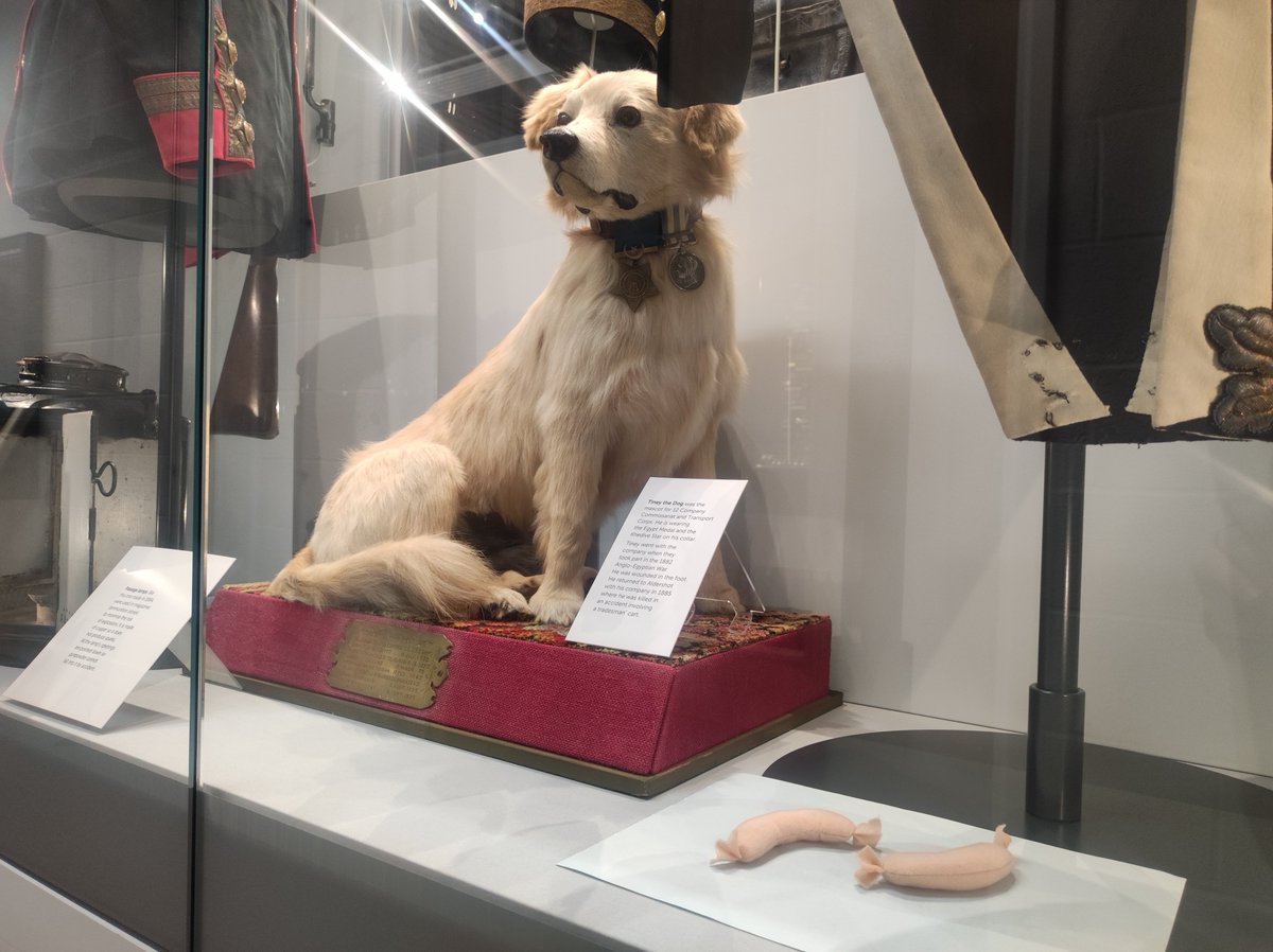 RLCMuseum's tweet photo. Apparently it's #PetDay 😍 Here's ours - meet Tiney, mascot of 12 Company Commissariat and Transport Corps...and guardian of the sausages for our Easter Holiday 'Food in the Forces' trail 🐕🦺 #MuseumTwitter - show me your pets (taxidermy or otherwise!) 😍 https://t.co/wQIXhqGaeL