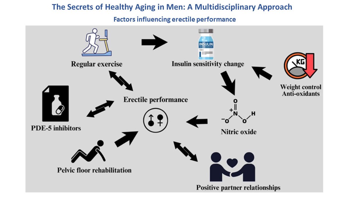🔥Dive into the key pillars of men's health we're spotlighting ✅ Navigating Cardiovascular #Wellness ✅ Battling Cancer:A Focus on Malignancies ✅ #StressManagement ✅ The Role of Testosterone Replacement Therapy ✅ Enhancing #SexualHealth 👉bit.ly/3VZIyzv #antiaging