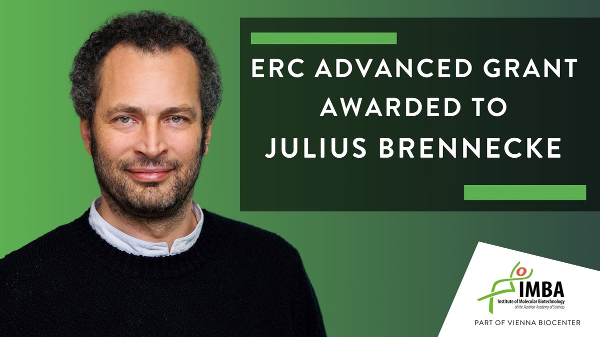 Congratulations to Julius Brennecke for securing one of this year’s @ERC_Research Advanced Grants! Julius will study the arms race between transposons and host genomes. #ERCAdG More here: oeaw.ac.at/imba/research-…