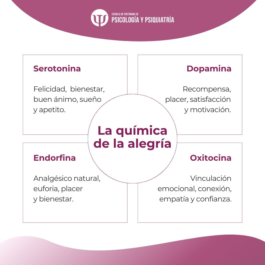 Estos son los 4 protagonistas de los procesos bioquímicos que ocurren cuando experimentamos felicidad o alegría ✨

Si quieres aprender más, echa un vistazo a nuestra formación online y escoge tu próximo reto educativo 🎓 i.mtr.cool/upypxvpecr

#eLearning