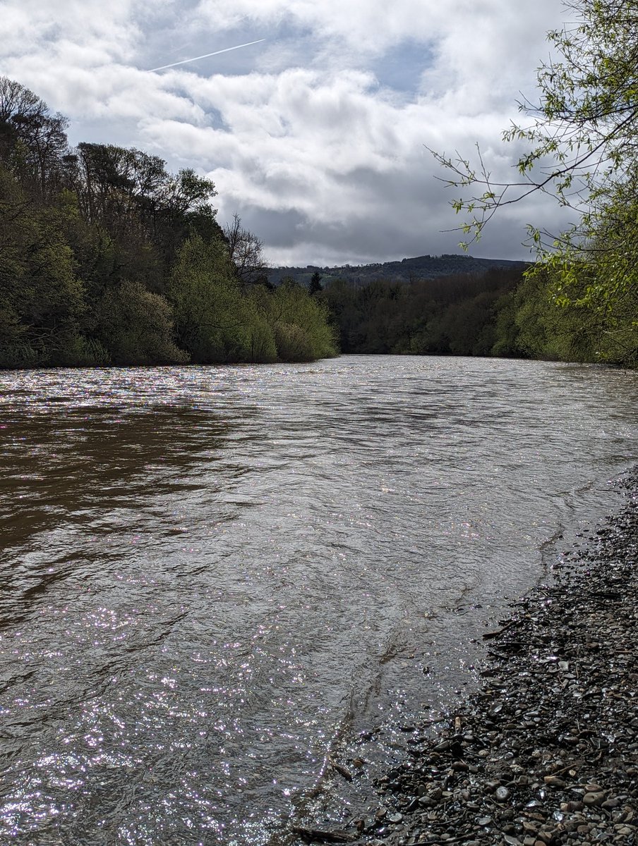 I think that may be the sun appearing over Hay on Wye.
The dogs are certainly having fun. 
#weather #hayonwye