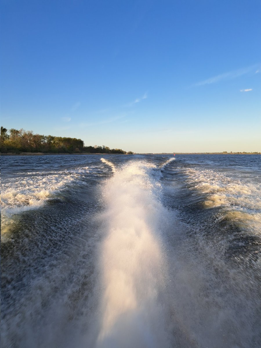 jan balk tweet media