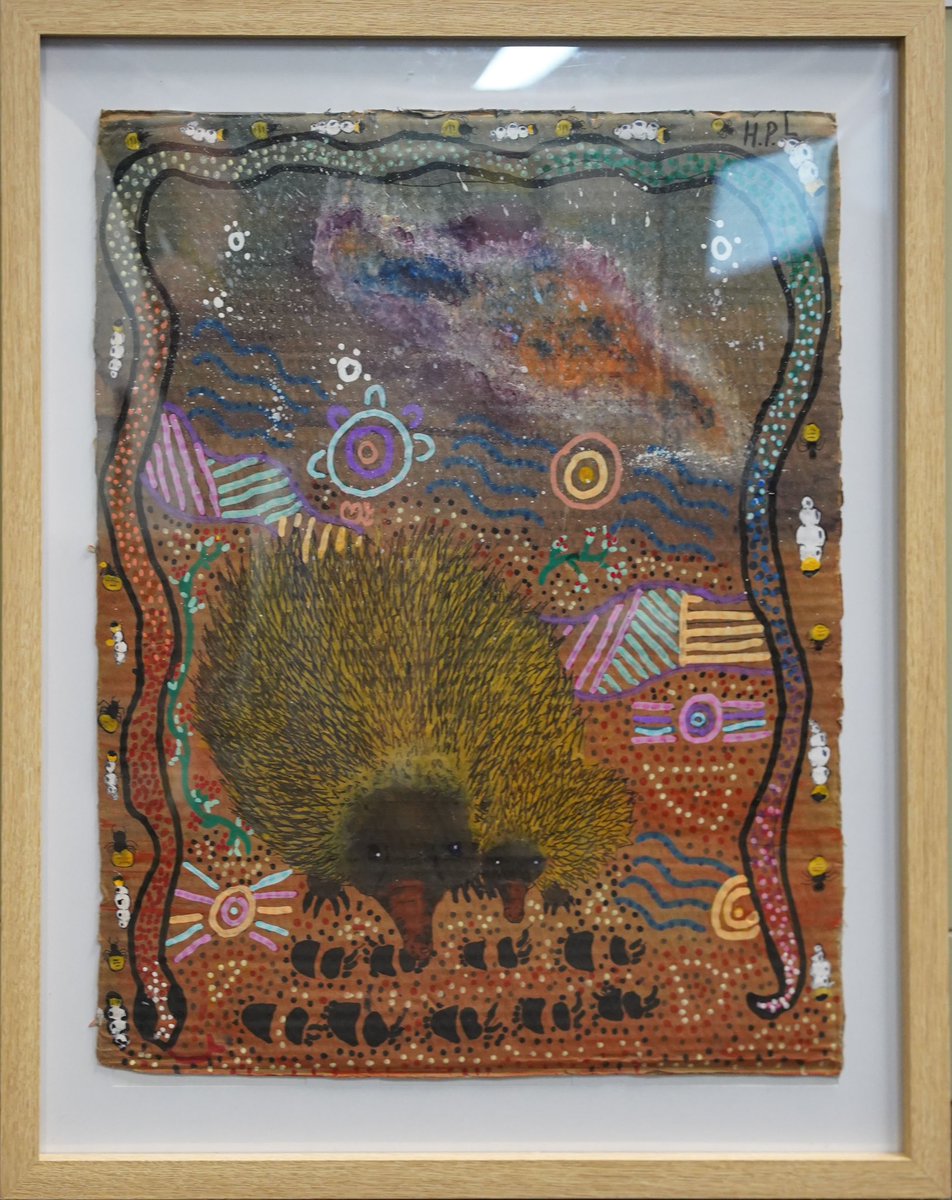 Hillvue PS Hailah’s story is re travelling & using the mirii (stars) as a guide to get home. I have painted the Aboriginal milky way story showing the Dhinawan (Emu). I have chosen to do the border as a Dhuru (snake). Because the Dhuru is my totem. My family is Wambaya. @kur5edy