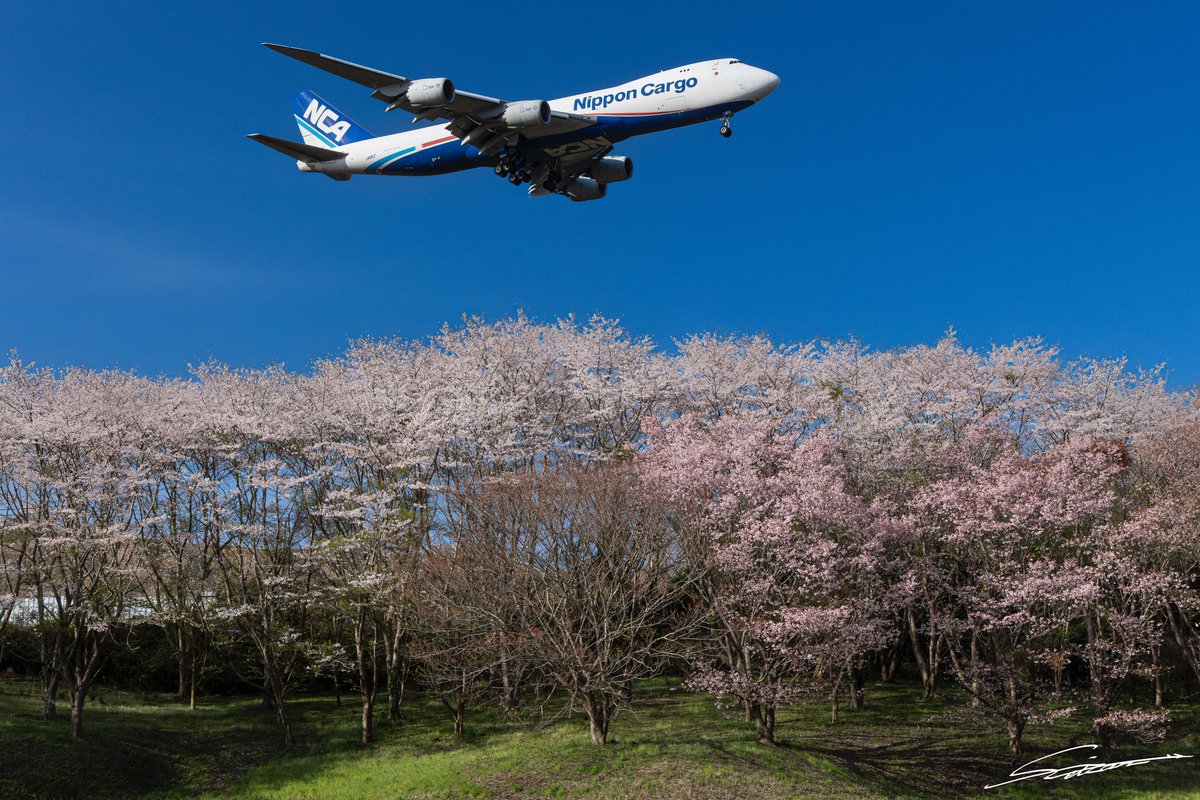 成田の春にも晴天がやって来た！ RJAA/NRT Nippon Cargo Airlines B747-8KZF JA11KZ