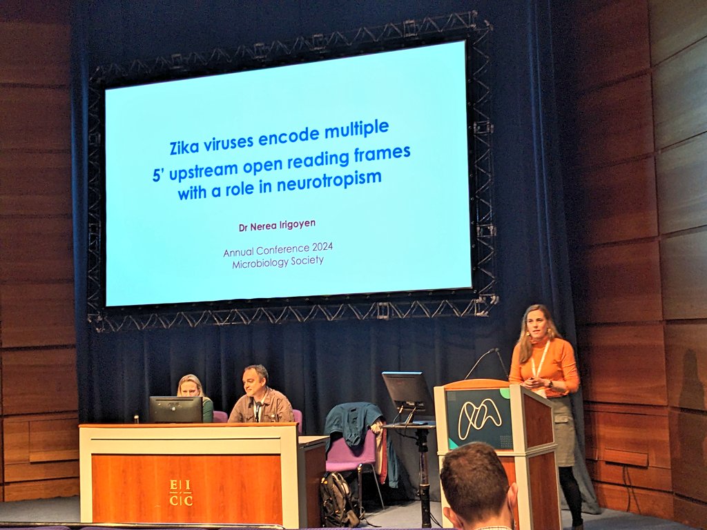 #Microbio24 is culminating for me with this informational talk with deep knowledge of Zika virus by the one and only @NereaIrigoyen @CamPathology @Cambridge_Uni