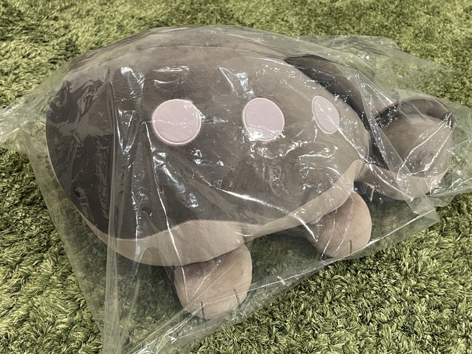 【ご報告】
いつぞやに公開していたほしい物リストよりドオーの大きいぬいぐるみを送って下さった方が…!!
本当にありがとうございます!!
カワイイーーーーーーー😭💕 