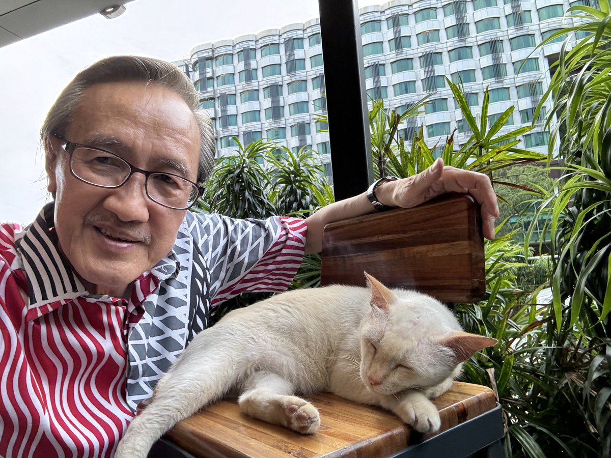 Selfie with Bruce, the unofficial cat mascot of the Holiday Inn Express Kota Kinabalu, who understandably can’t be bothered with all the fuss.