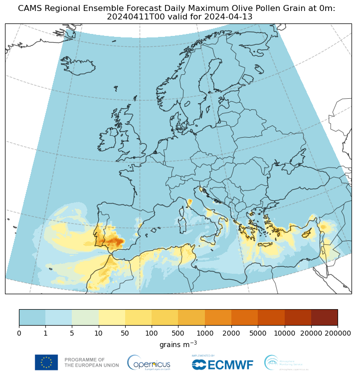 🌺🌬️Spring is in full swing. #CopernicusAtmosphere forecast predicts high levels of birch and olive #pollen in Europe in the coming days. Stay informed with your local AQ authorities. See the forecast 👉 bit.ly/3TR7zdn