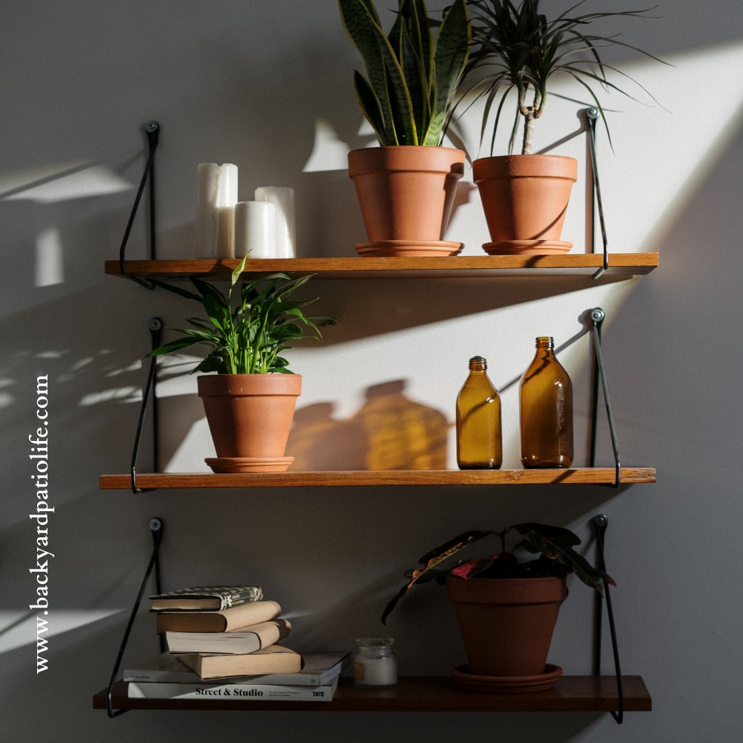 Backyard Patio Life tweet media