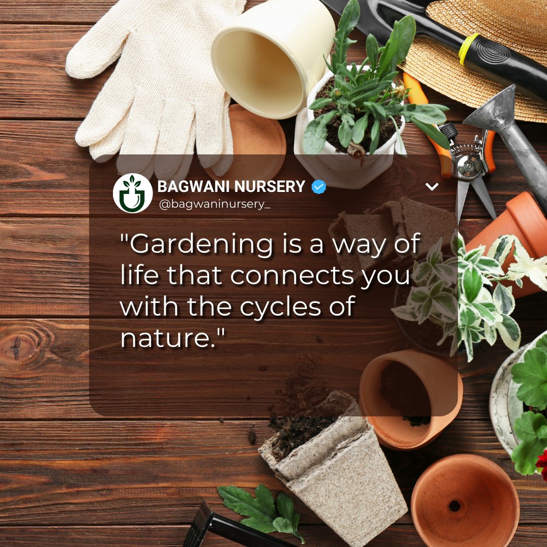 'Gardening is a way of life that connects you with the cycles of nature.'
#landscapingdesign #landscapingcompany #gardeningservice #gardendevelopmentservice #lawngrass #naturallawngrass #onlineplantnursery #bestnurseryinsaharanpur