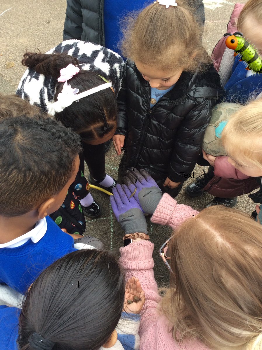 The children found their own 'Very Hungry Caterpillar' out in the garden this morning! This week we are learning all about the life cycle of a butterfly, so the children knew he was looking for some food before his big sleep! 🐛