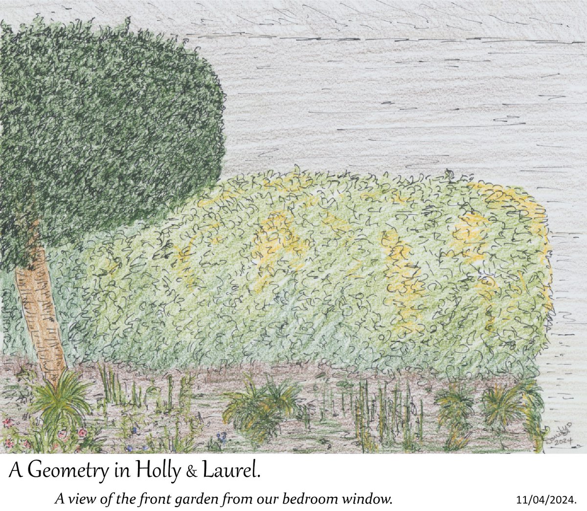 A Geometry in Holly & Laurel #sketch #garden #Holly #Laurel @abdulhayemehta @NorthStandGang @ilegally_indian @AnnieChave @palfreyman1414 @Edgaralanpoe48 @andydurrant75 @cbar2323 @chriswaller1 @kinobe911 @mattbob84 @TheKenAshley #pen & #pencil #drawing #drawingart #sketchart #art