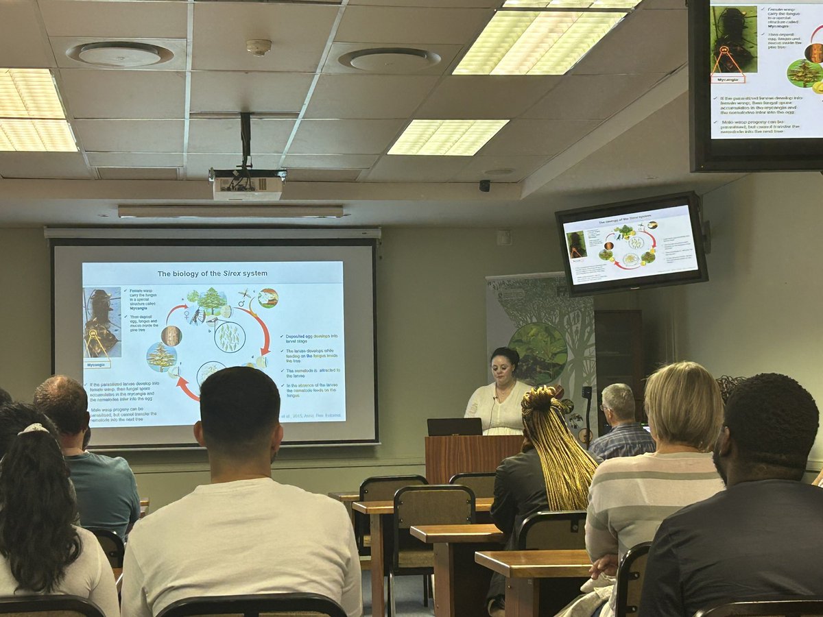 "Breaking Barriers, Unveiling Mysteries: Witnessing the Power of Women in Science at Firehiwot's Sirex noctillo PhD Defense!" Congratulations girlfriend #UP <a href="/Fabiteam1/">FABI</a> #womandhla