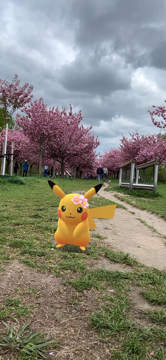 #GOsnapshot in #Teltow nahe Berlin🌸