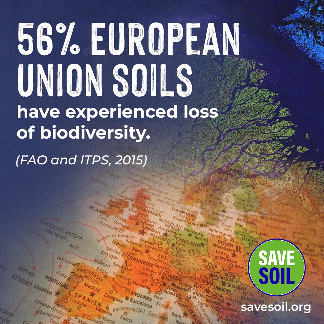 Close to 60-70% of European soil is unfit for healthy food production. The wellbeing of the environment and the health of the soil directly impacts the quality of our lives. If soil is not rich and full of life, our food will have significantly less nutritional value. #SaveSoil