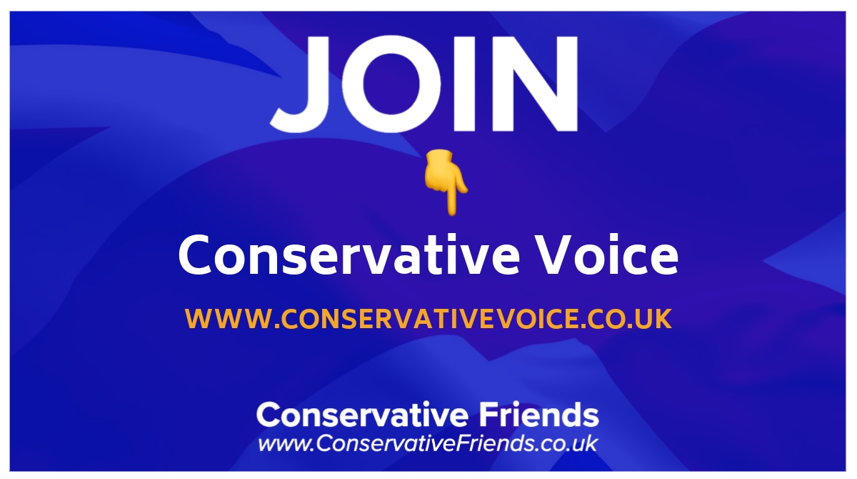 🔊💙 Join Conservative Voice and connect with like-minded conservatives who believe in traditional conservative values and principles. 🤝🙌🏻 #ConservativeVoice #ConservativeValues #PrincipledPolitics 🇬🇧💪 @con_voice