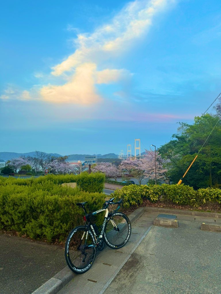cy_labo's tweet photo. 仕事終わりに大島を😊

糸山展望台からスタート✨
展望台駐車場に🐗😅
何匹見えます？

#ロードバイク
#ロードバイク乗りと繋がりたい https://t.co/SQXqUwEZaZ