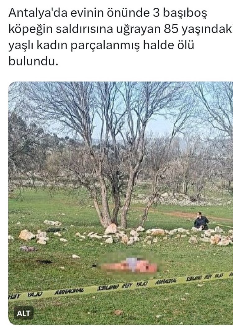 Soldaki büyüğümüz ve sevdikleri ŞANSLIYMIŞ, Sağdaki teyzemiz bayramı göremedi… 2004’de kabul edilen kanun ile #5199 Halimiz ahvalimiz budur: #Köpekterörü #Köpeksorunumeclise @RTErdogan @Akparti @herkesicinCHP @MhpTbmmGrubu @SaadetPartisi @devapartisi @bbpgenelmerkez…