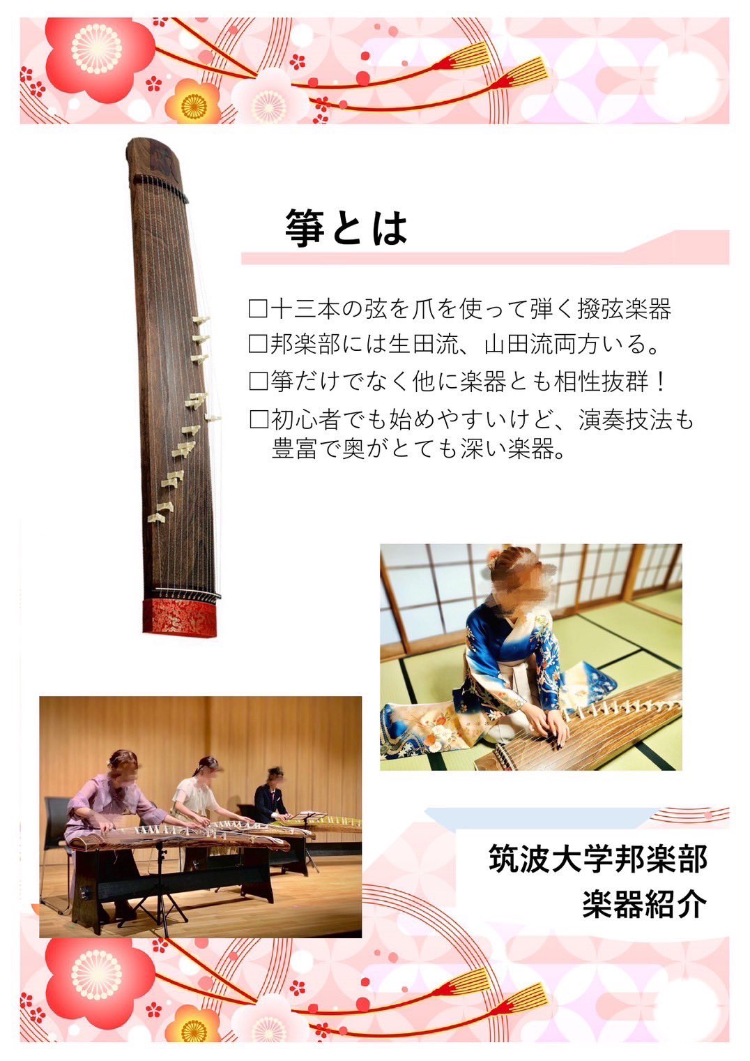 琴　山田流　送料込み特価品 琴山田流送料込み特価品