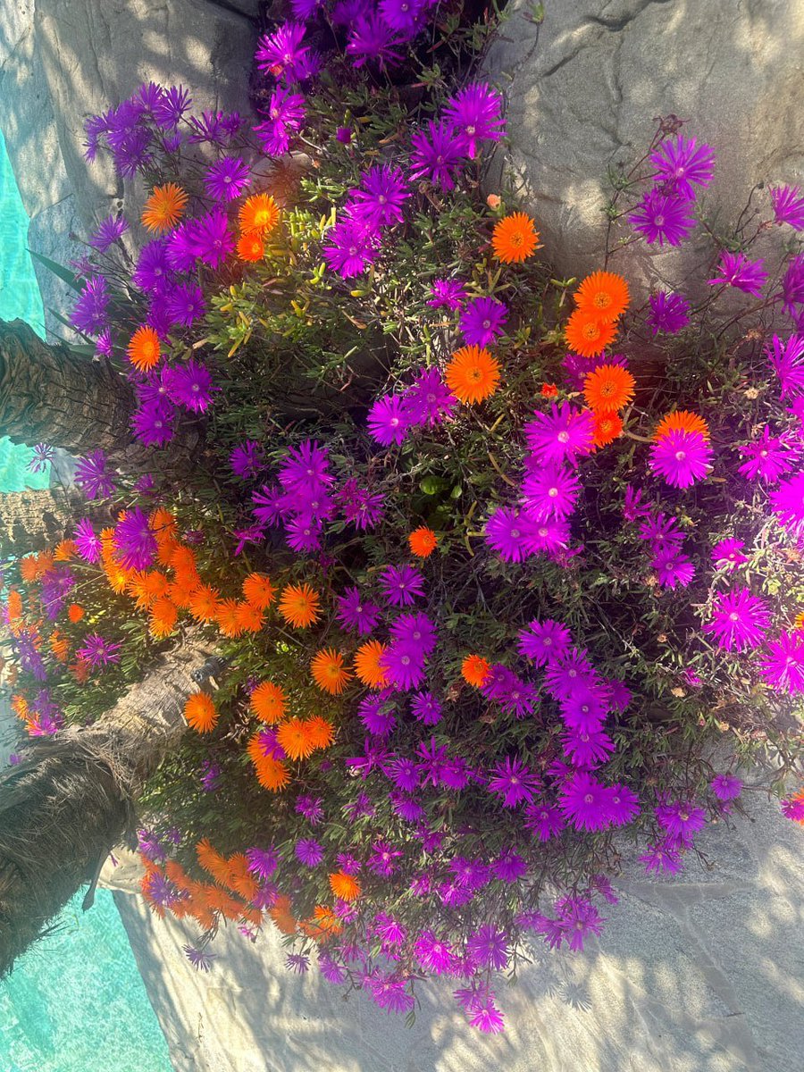 ahmetirice's tweet photo. Looking up into the distance from the rooftop at home https://t.co/tsLONQDh0S