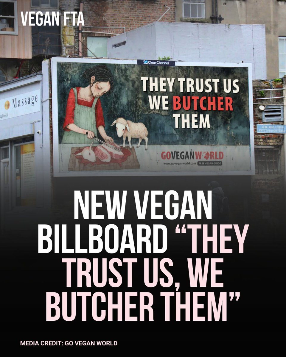 Ahead of Easter, the Irish vegan organisation Go Vegan World has launched its latest Spring billboard to remind people about the sad plight of lambs during this Christian holiday. 🐑 👉️ Read more: veganfta.com/2024/03/25/the… #easter #ireland #vegan #animalrights #holiday