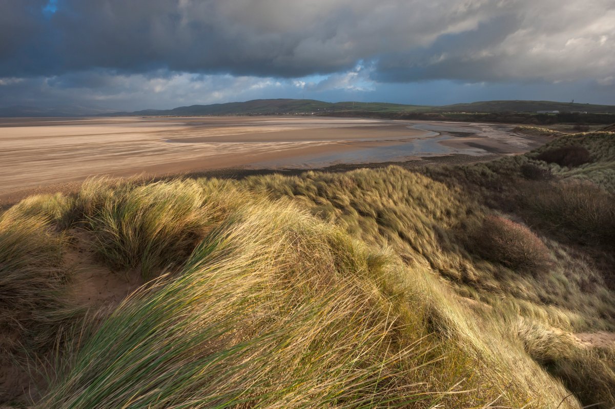 Celebrate #SandscaleHaws40 - join NaturesGems Tours and our rangers on a Practical Nature Conservation Day. 🌊 Get your boots on, roll your sleeves up, and see the work that goes into looking after this National Nature Reserve: nationaltrust.org.uk/visit/lake-dis… Booking essential.