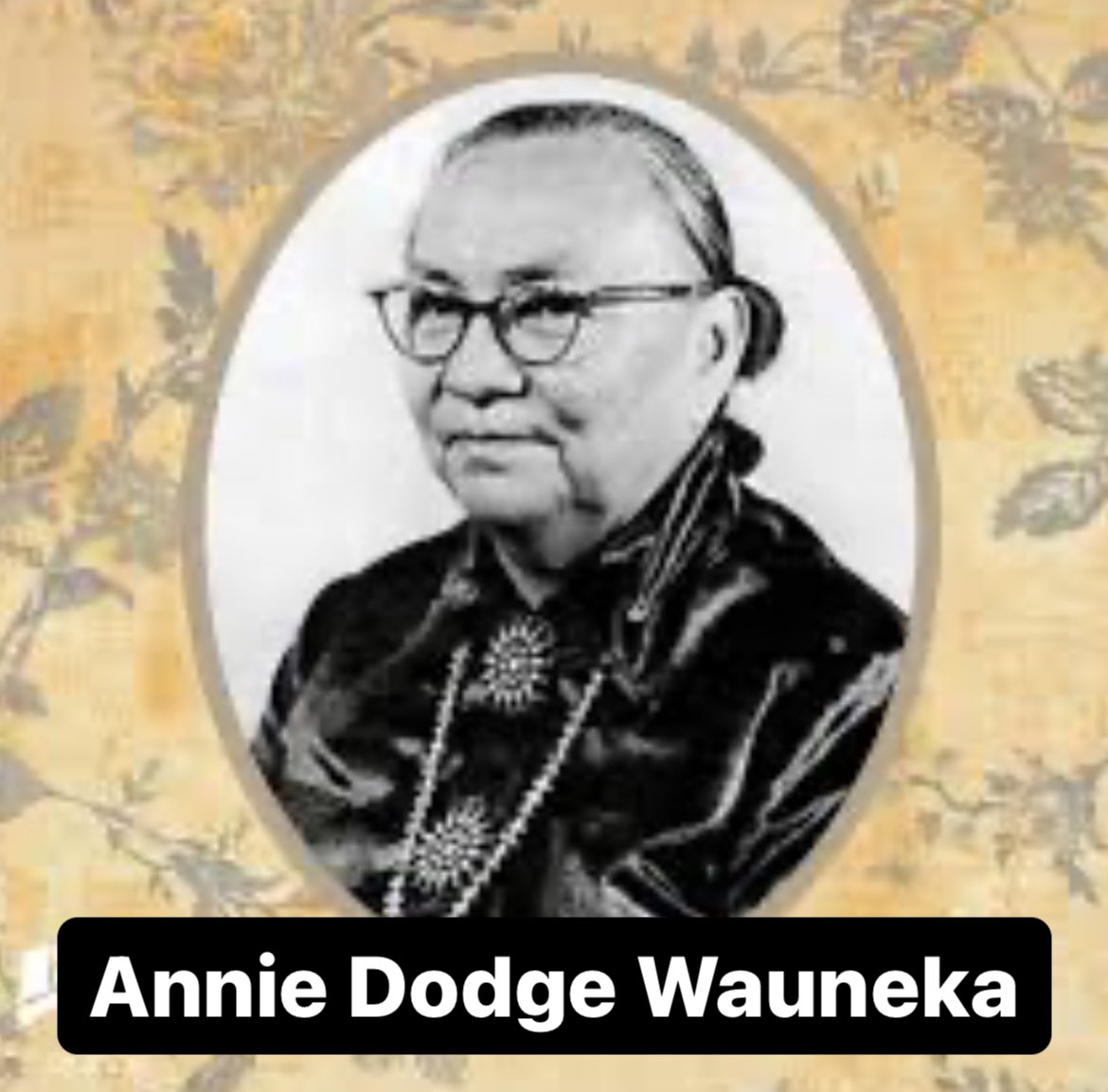 Today in HERstory 1910 – Annie Dodge Wauneka was born. She was the 1st woman elected to the Navajo Tribal Council; she worked on the tuberculosis epidemic, improved sanitary conditions, clean drinking water, and against alcoholism. . #herstory #womenshistory #todayinhistory