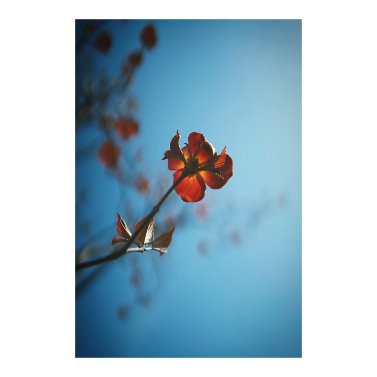 with the intention of pretending